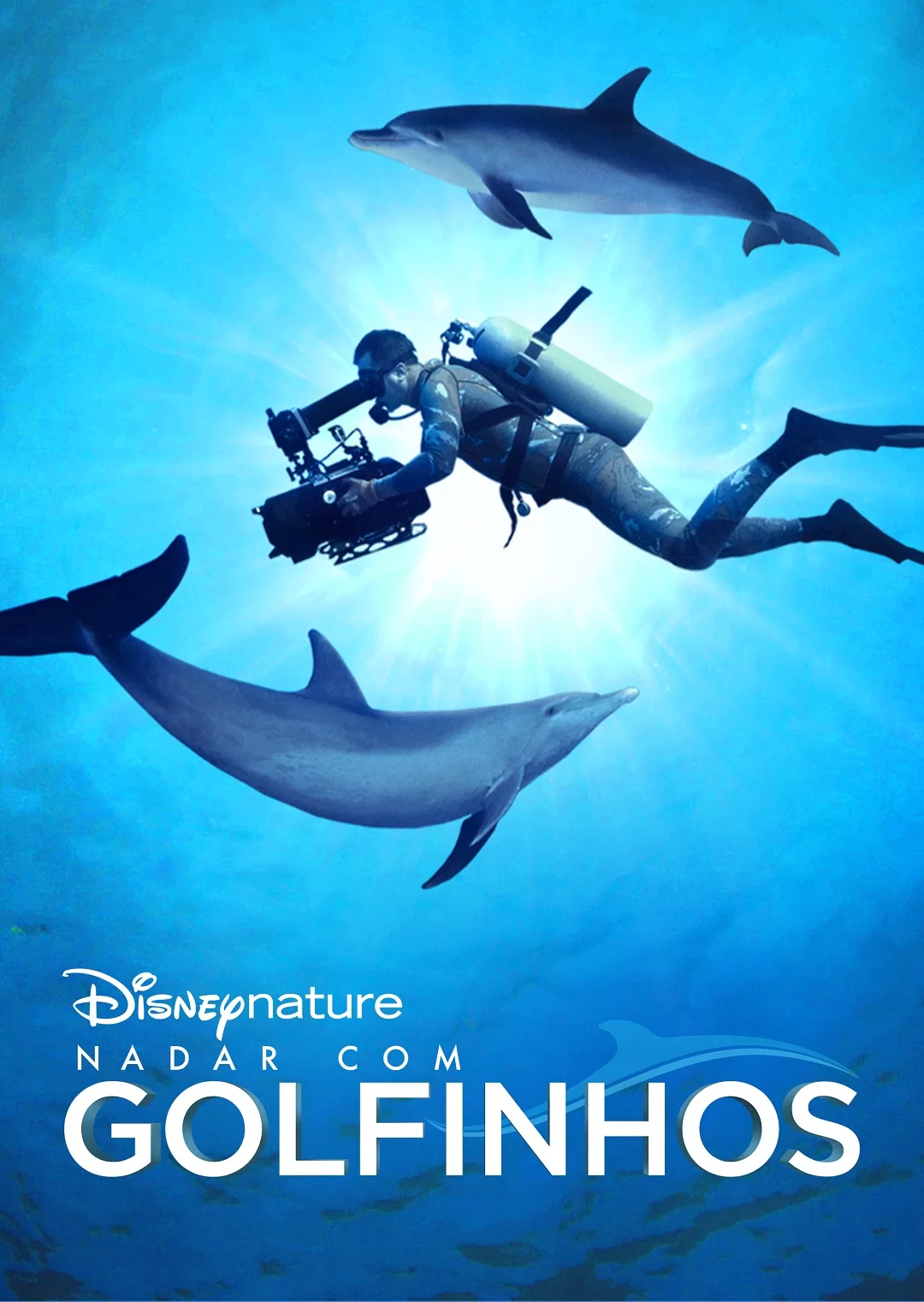 Nadar com Golfinhos Nadar com Golfinhos