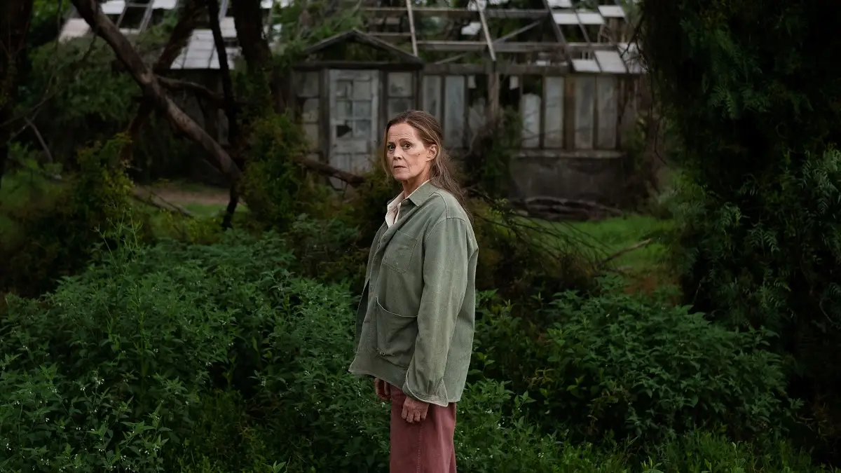 as flores perdidas de alice hart quantos episodios