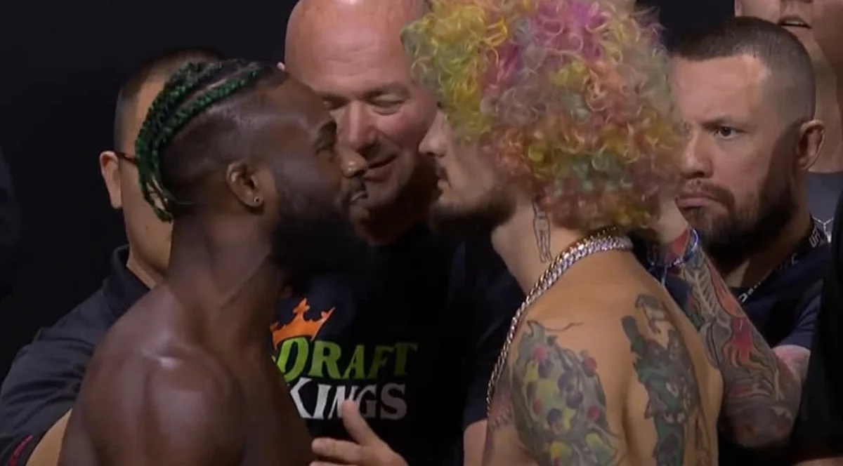 sterling vs omalley streaming