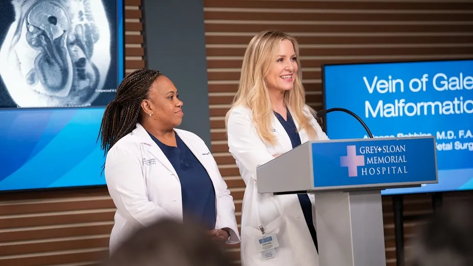 anatomia de grey temporada 20 episodio 5