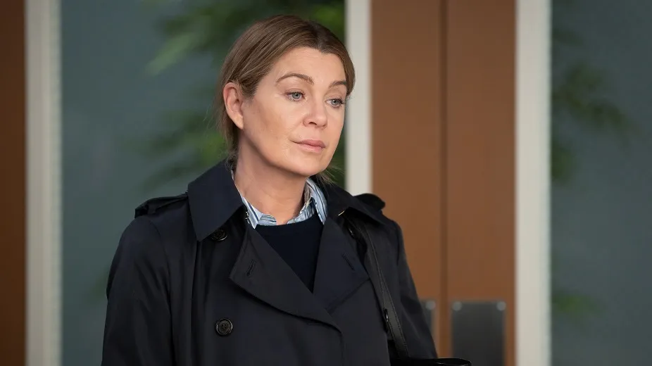 anatomia de grey temporada 20 final