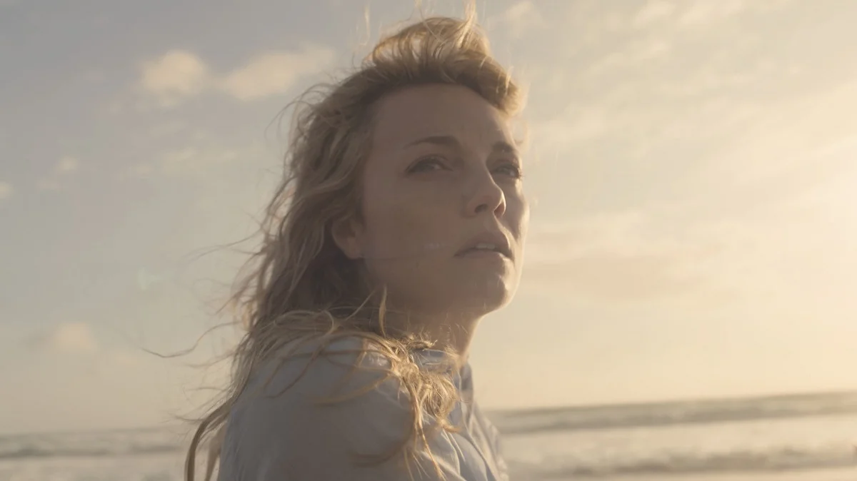 disclaimer temporada 1 final