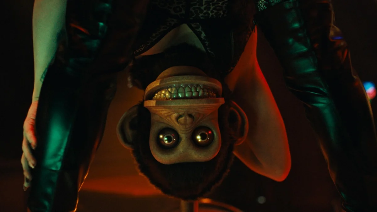 o macaco idade