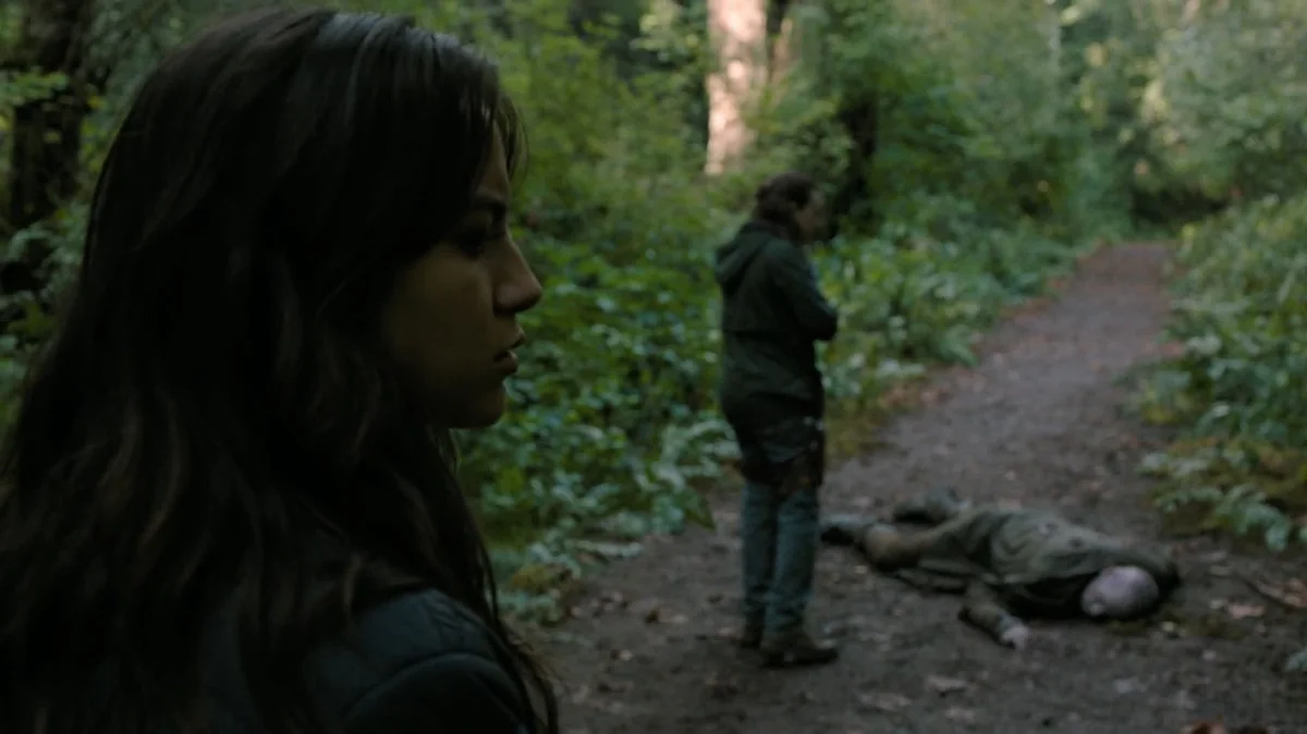 the last of us serafitas
