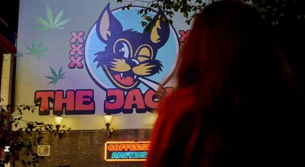 the jackal coffeeshop verdadeiro