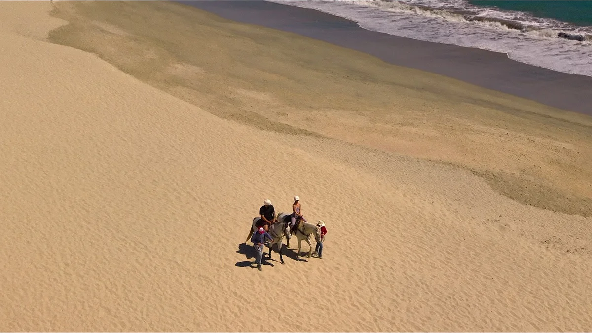 onde foi filmada love is blind temporada 10