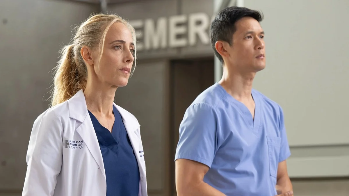 anatomia de grey temporada 23