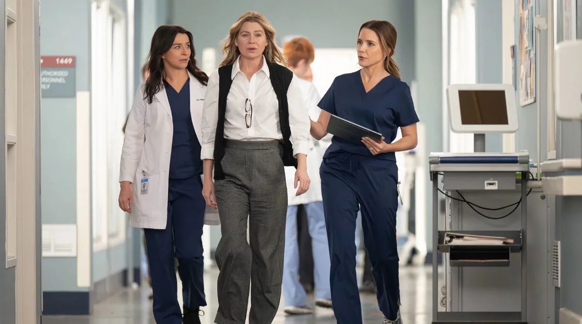 anatomia de grey temporada 22 final